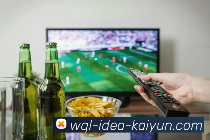 数据分析功能